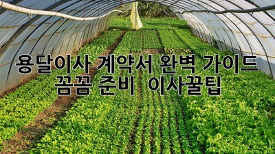 용달이사 계약서 완벽 가이드 꼼꼼 준비! 📦🚚 #이사꿀팁